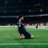 Aadi_Mistry