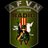 AfvnRadio