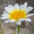 AkshatR4098192