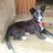 Akshay_0997