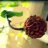 Am_dilip