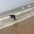 AniketShri22
