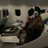 Anya_Hucan