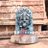 BalaMurali7154