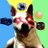 BuddyTheWebDog