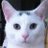 CatZimmerer