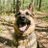 DamiosPratios9