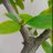 Deepanshu_2_5
