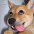 Dogquant0