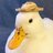 DuckHatA