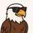 EagleVisions