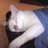 EdFatherOfCats