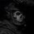 EdiGamer233