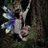 Eleutheria24751