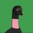 FlawdaFrog