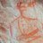 Florenc23016620