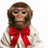 Fmonkeyincrisis