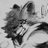 FoxBoyJordy