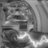 Fried_Circuitry