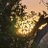 Gh09171447