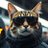 IncognitoCatMe