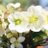 Ingrid3191651