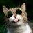 KR_Sharma25