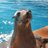 LuisMar94674404