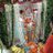 Mayank_2304