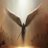 MetaDisciple