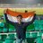 MohitShah199811