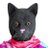 MrJackBlackCat