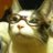 MrJamesCat