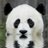 MrPandaCommando