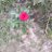 NirmalJ22983956