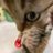 NotThat_twitt