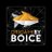 OrigamibyBoice