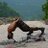 PIYUSHT59750834