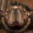 PaulIddon1