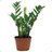 PlantasticPrime