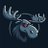 QuixoticMoose