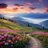 Raghav_545