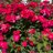 RajeshP18103763