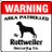 Rottweiler_Red9