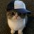 Sachinjaat6352
