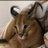 Serj_7509