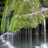 Shashir5656