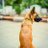 Shridhar_07