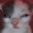 SpoonzRus_