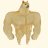 SwoleDogeSwoge